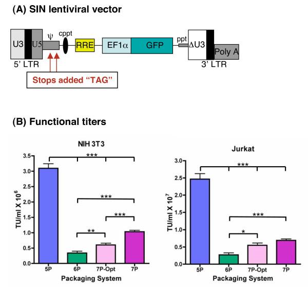 https://cdn.ncbi.nlm.nih.gov/pmc/blobs/2698/2259377/01494198a939/1742-4690-4-96-6.jpg