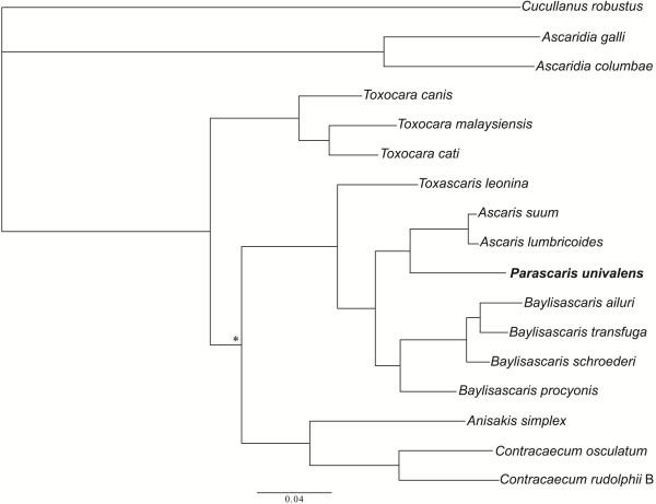 https://cdn.ncbi.nlm.nih.gov/pmc/blobs/269a/4262126/5731daeec8f5/13071_2014_1604_Fig2_HTML.jpg