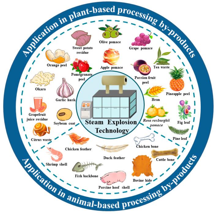 https://cdn.ncbi.nlm.nih.gov/pmc/blobs/269f/10486971/6cef7b2bb7bb/foods-12-03307-g002.jpg