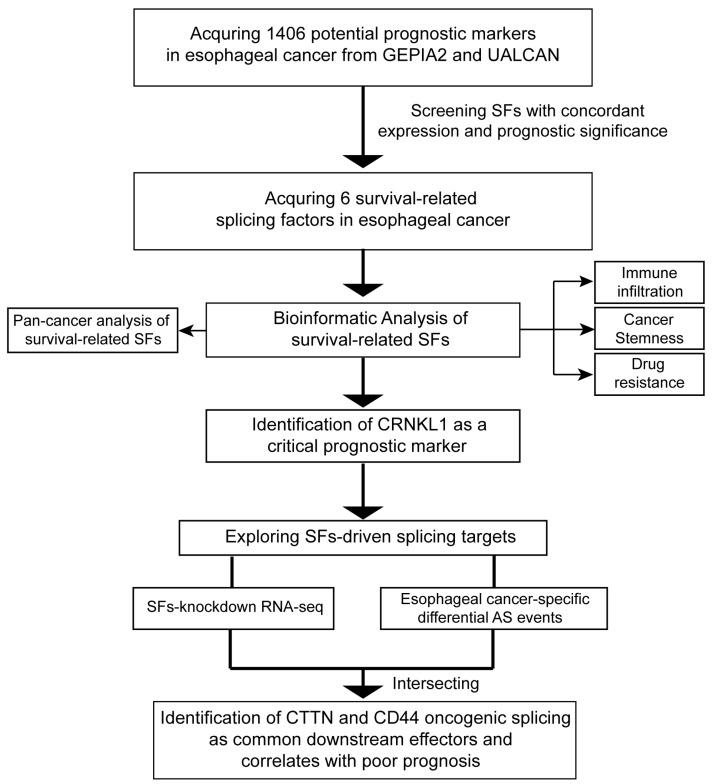 https://cdn.ncbi.nlm.nih.gov/pmc/blobs/26a0/12027253/d02582759abb/genes-16-00379-g001.jpg
