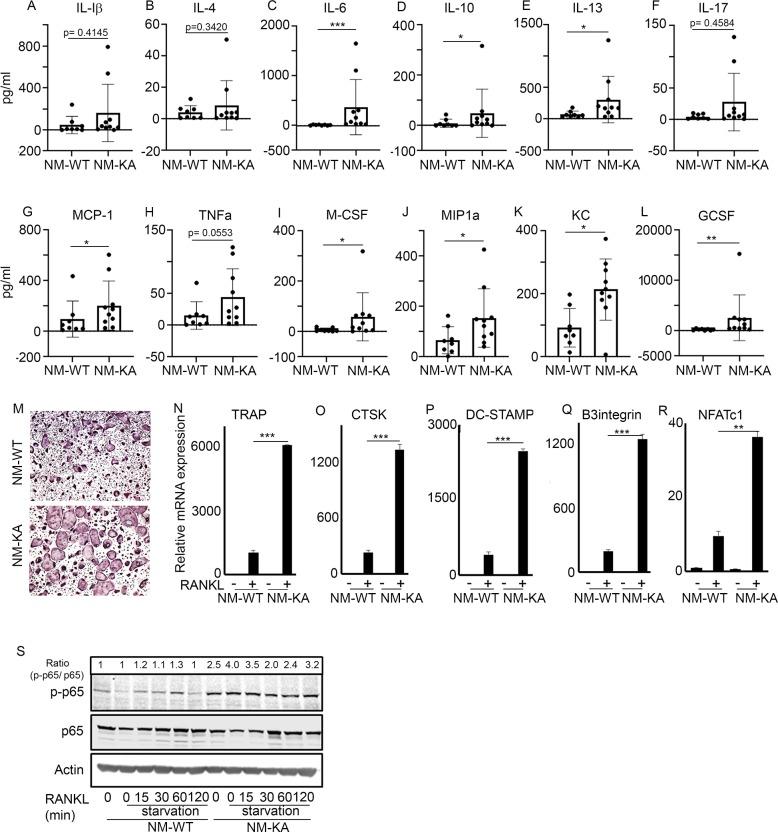 https://cdn.ncbi.nlm.nih.gov/pmc/blobs/26a1/7145425/ac4099f30ccb/elife-56095-fig3.jpg