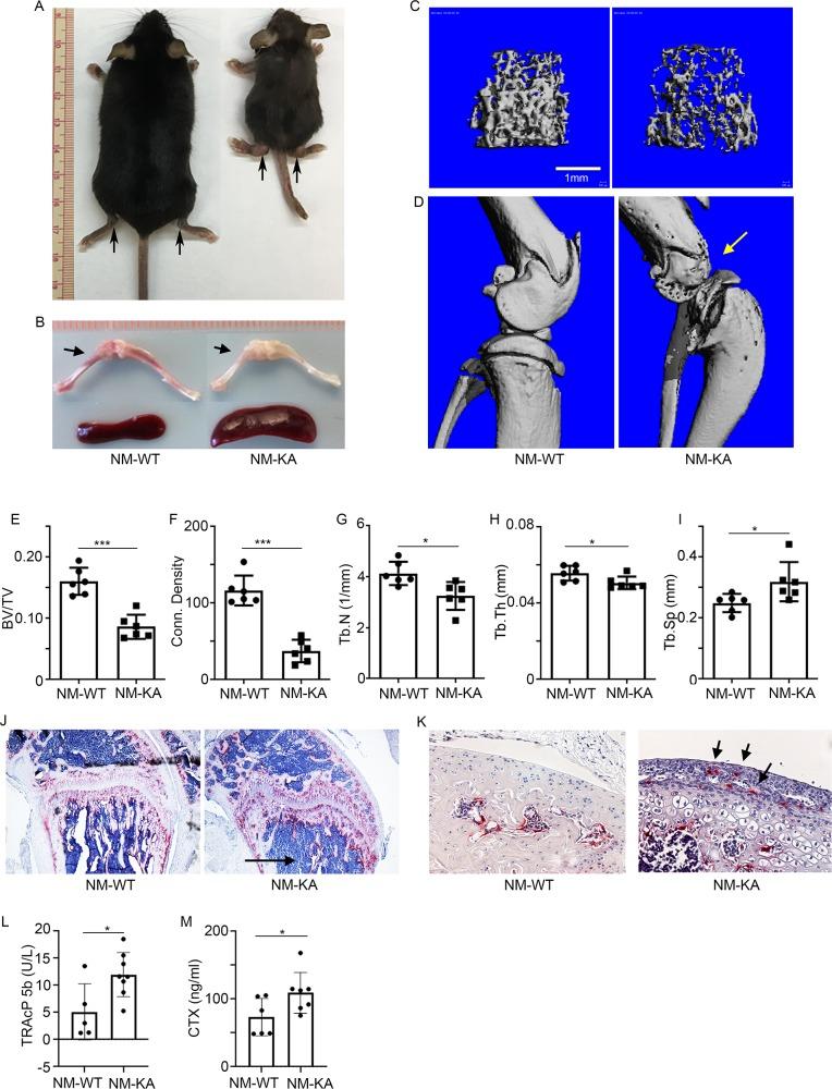https://cdn.ncbi.nlm.nih.gov/pmc/blobs/26a1/7145425/aed97c613a8c/elife-56095-fig2.jpg