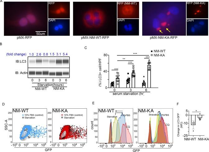 https://cdn.ncbi.nlm.nih.gov/pmc/blobs/26a1/7145425/d8bb072605fe/elife-56095-fig4.jpg