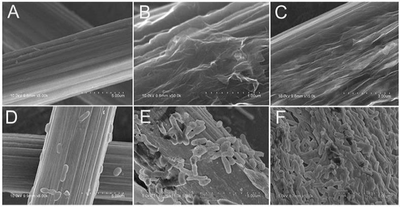 https://cdn.ncbi.nlm.nih.gov/pmc/blobs/26a6/5456629/3dce1d28d82e/materials-09-00807-g007.jpg