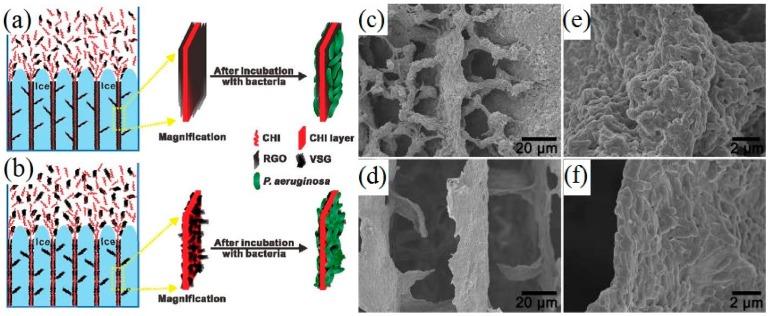 https://cdn.ncbi.nlm.nih.gov/pmc/blobs/26a6/5456629/593d16c17100/materials-09-00807-g002.jpg