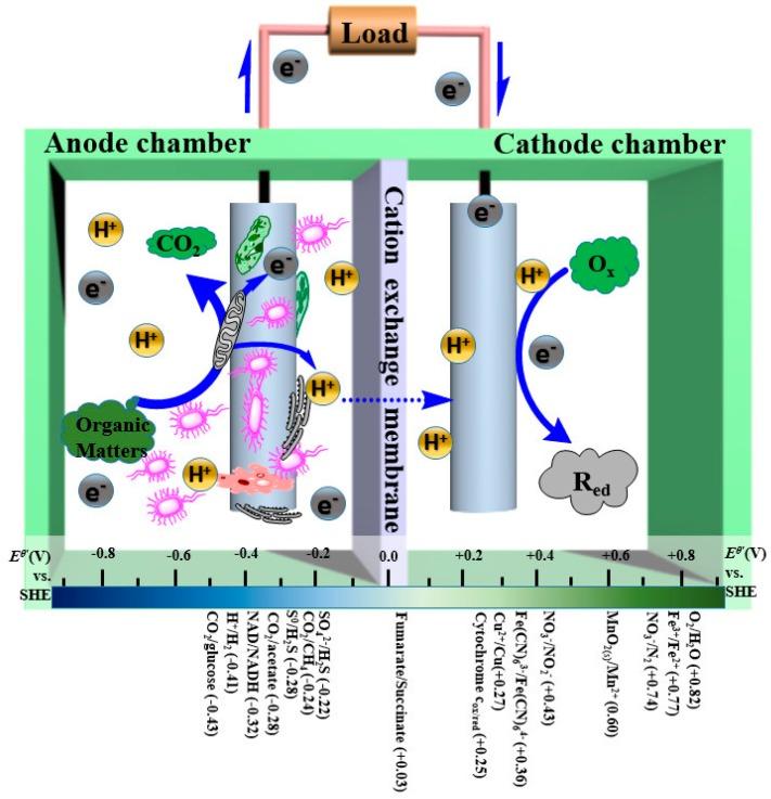 https://cdn.ncbi.nlm.nih.gov/pmc/blobs/26a6/5456629/6eb6155ae62e/materials-09-00807-g012.jpg