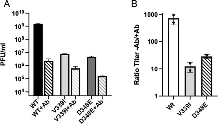 https://cdn.ncbi.nlm.nih.gov/pmc/blobs/26a8/12172446/1ef7e21cd33c/jvi.00219-25.f003.jpg