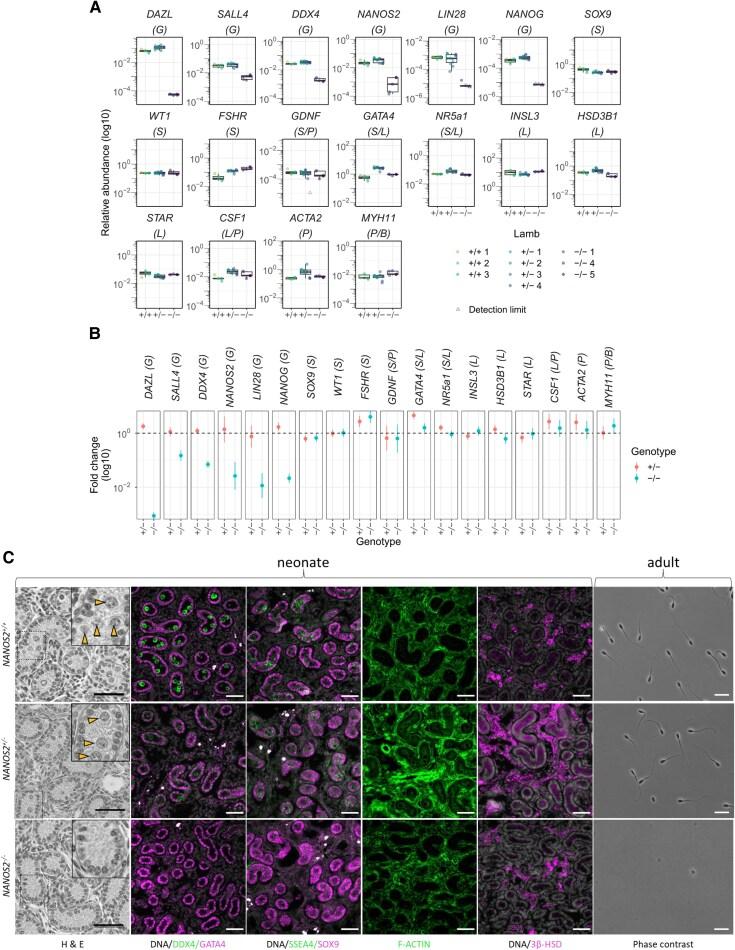 https://cdn.ncbi.nlm.nih.gov/pmc/blobs/26ab/12218192/b7409d457553/pgaf200f2.jpg