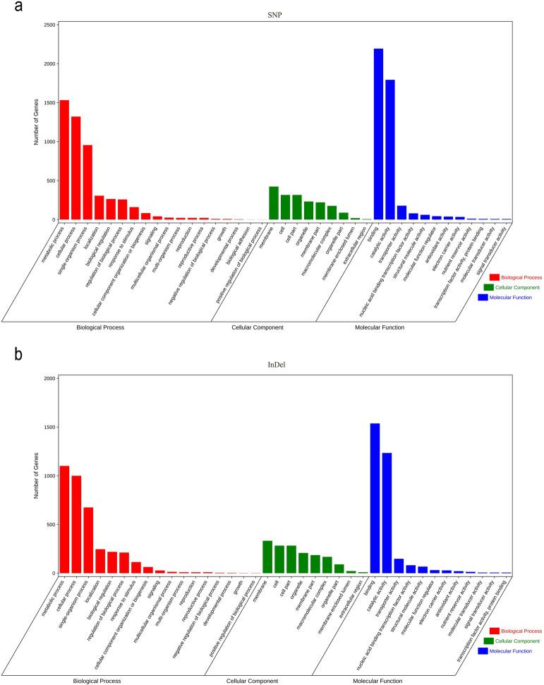 https://cdn.ncbi.nlm.nih.gov/pmc/blobs/26ac/12075291/6ab1b7d6967e/425_2025_4715_Fig4_HTML.jpg