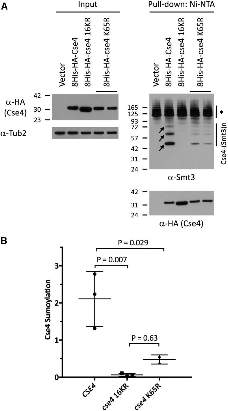 https://cdn.ncbi.nlm.nih.gov/pmc/blobs/26ac/5873912/05df669e2359/1215f1.jpg