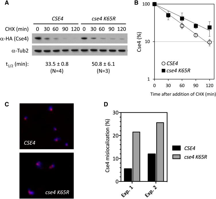 https://cdn.ncbi.nlm.nih.gov/pmc/blobs/26ac/5873912/7980bf893cdb/1215f4.jpg