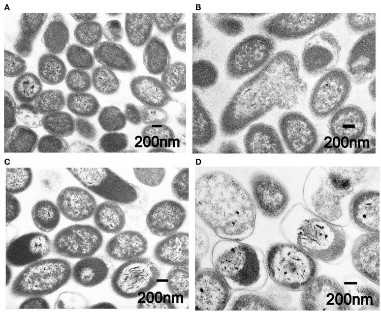 https://cdn.ncbi.nlm.nih.gov/pmc/blobs/26b0/5506224/3eea0b20fb18/fchem-05-00051-g0003.jpg
