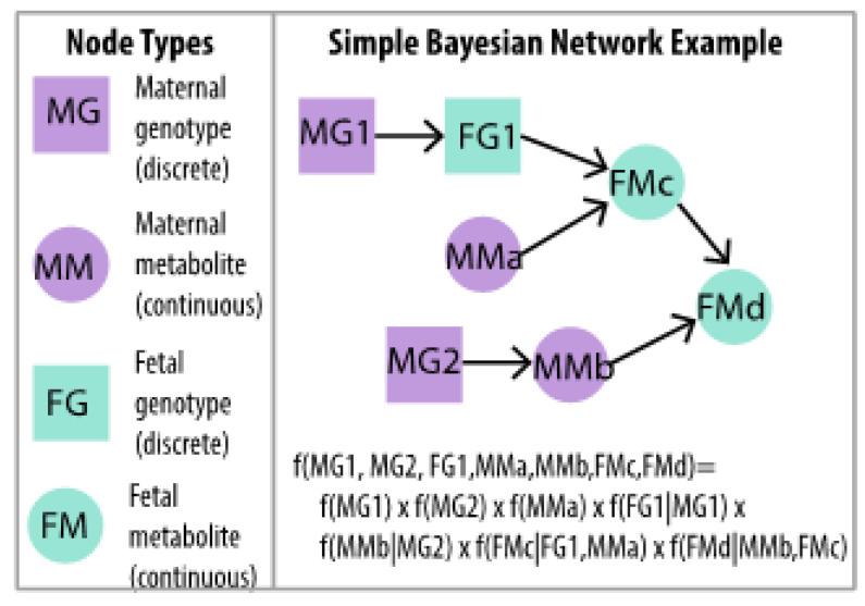 https://cdn.ncbi.nlm.nih.gov/pmc/blobs/26b4/9229972/7bb6a61a65ab/metabolites-12-00512-g004.jpg