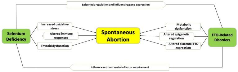 https://cdn.ncbi.nlm.nih.gov/pmc/blobs/26b5/11697289/a193ad8f2804/fnut-11-1428648-g002.jpg