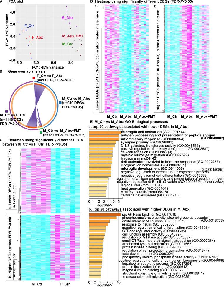 https://cdn.ncbi.nlm.nih.gov/pmc/blobs/26b5/8647415/ae74e9e83f78/JEM_20200895_Fig6.jpg