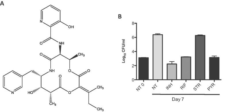 https://cdn.ncbi.nlm.nih.gov/pmc/blobs/26b6/3491834/2a295a1436f7/emmm0004-1032-f1.jpg