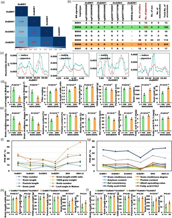 https://cdn.ncbi.nlm.nih.gov/pmc/blobs/26b8/12018826/49406601ce1c/PBI-23-1618-g001.jpg