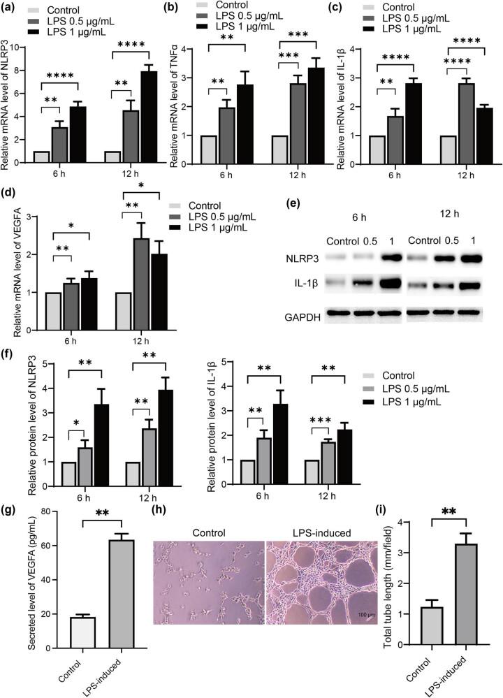https://cdn.ncbi.nlm.nih.gov/pmc/blobs/26b9/12086628/50ab194d697e/j_med-2024-1121-fig001.jpg