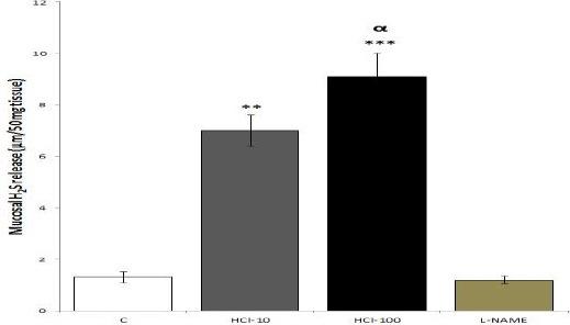 https://cdn.ncbi.nlm.nih.gov/pmc/blobs/26b9/4818365/ec548aa43603/IJBMS-19-172-g001.jpg