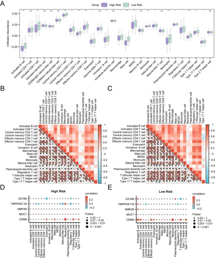 https://cdn.ncbi.nlm.nih.gov/pmc/blobs/26ba/12080578/6856a84653b6/ijmsv22p2470g008.jpg