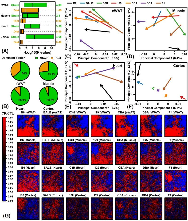 https://cdn.ncbi.nlm.nih.gov/pmc/blobs/26bb/5940131/988978866290/aging-10-101424-g001.jpg