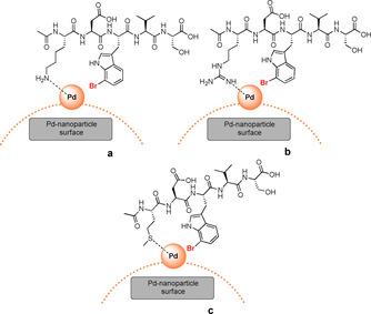https://cdn.ncbi.nlm.nih.gov/pmc/blobs/26bb/7756874/71fa0773447a/CHEM-26-16357-g006.jpg