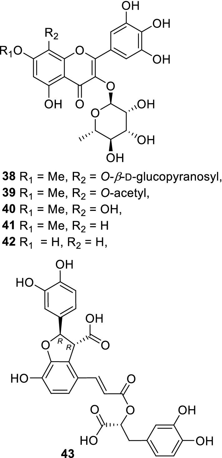 https://cdn.ncbi.nlm.nih.gov/pmc/blobs/26bc/8397696/7dc863faea81/11418_2021_1529_Fig7_HTML.jpg