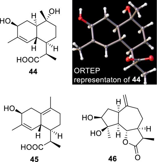 https://cdn.ncbi.nlm.nih.gov/pmc/blobs/26bc/8397696/927072212549/11418_2021_1529_Fig8_HTML.jpg