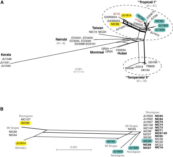 https://cdn.ncbi.nlm.nih.gov/pmc/blobs/26bd/3556333/84c7c8758ac6/1471-2148-13-10-5.jpg