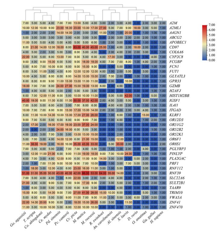 https://cdn.ncbi.nlm.nih.gov/pmc/blobs/26be/10376104/6bab880c2890/biology-12-00939-g004.jpg