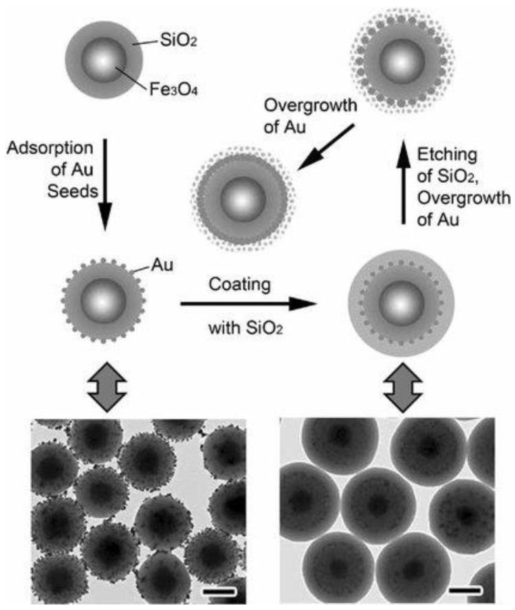 https://cdn.ncbi.nlm.nih.gov/pmc/blobs/26be/6278292/687748db9f2e/molecules-23-02851-g005.jpg