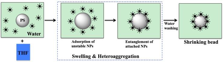 https://cdn.ncbi.nlm.nih.gov/pmc/blobs/26be/6278292/a2d0ec85d98a/molecules-23-02851-g008.jpg