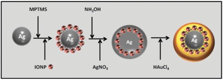 https://cdn.ncbi.nlm.nih.gov/pmc/blobs/26be/6278292/d67b639bf451/molecules-23-02851-g015.jpg