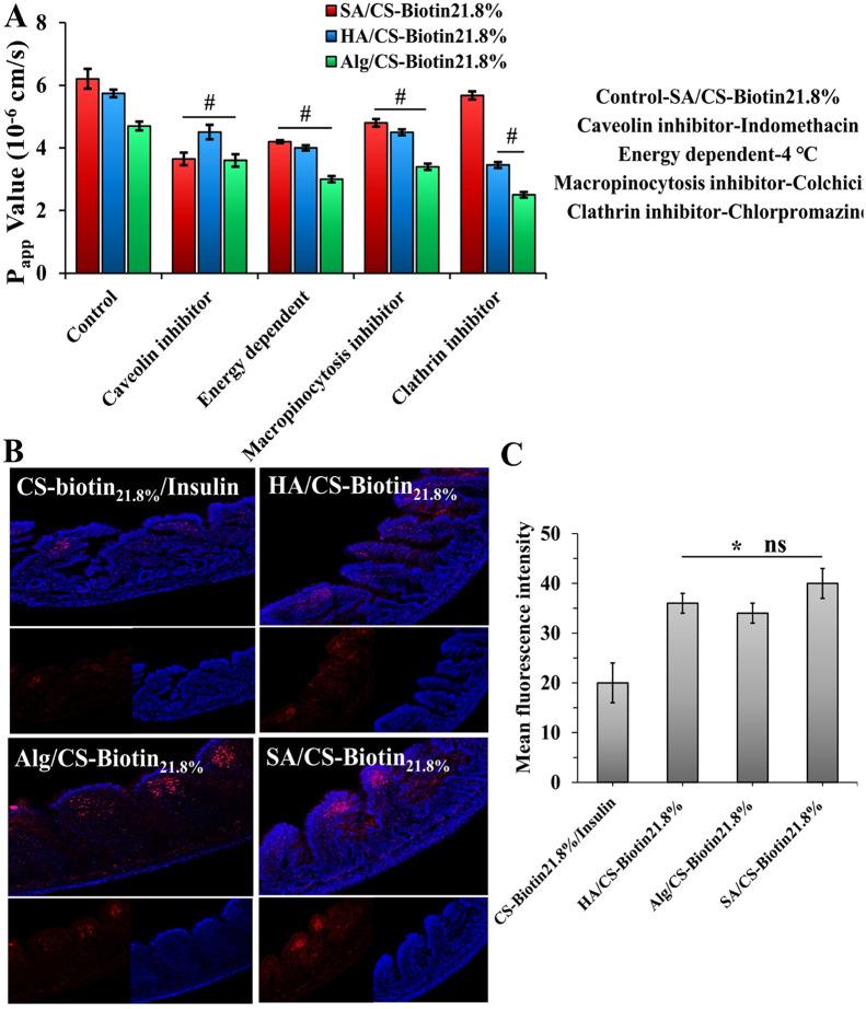 https://cdn.ncbi.nlm.nih.gov/pmc/blobs/26c0/10594566/af8f44b0a0b4/gr6.jpg