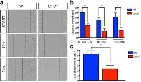 https://cdn.ncbi.nlm.nih.gov/pmc/blobs/26c0/5645909/21b8cae22ab7/40478_2017_476_Fig8_HTML.jpg