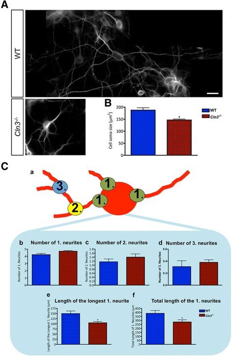 https://cdn.ncbi.nlm.nih.gov/pmc/blobs/26c0/5645909/5ac61cbdd4eb/40478_2017_476_Fig11_HTML.jpg