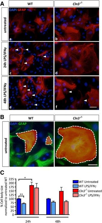 https://cdn.ncbi.nlm.nih.gov/pmc/blobs/26c0/5645909/cda410f398a2/40478_2017_476_Fig3_HTML.jpg
