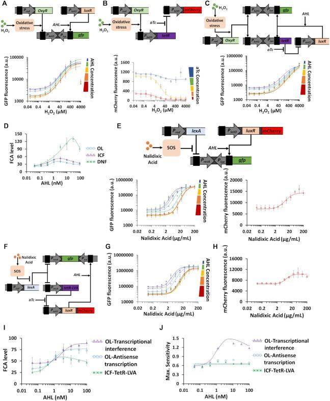 https://cdn.ncbi.nlm.nih.gov/pmc/blobs/26c0/8136830/5afeced17ba1/gkab253fig8.jpg
