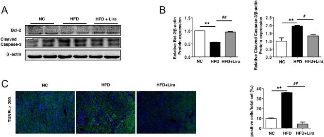 https://cdn.ncbi.nlm.nih.gov/pmc/blobs/26c3/7583131/b4676c330053/EC-20-0294fig3.jpg