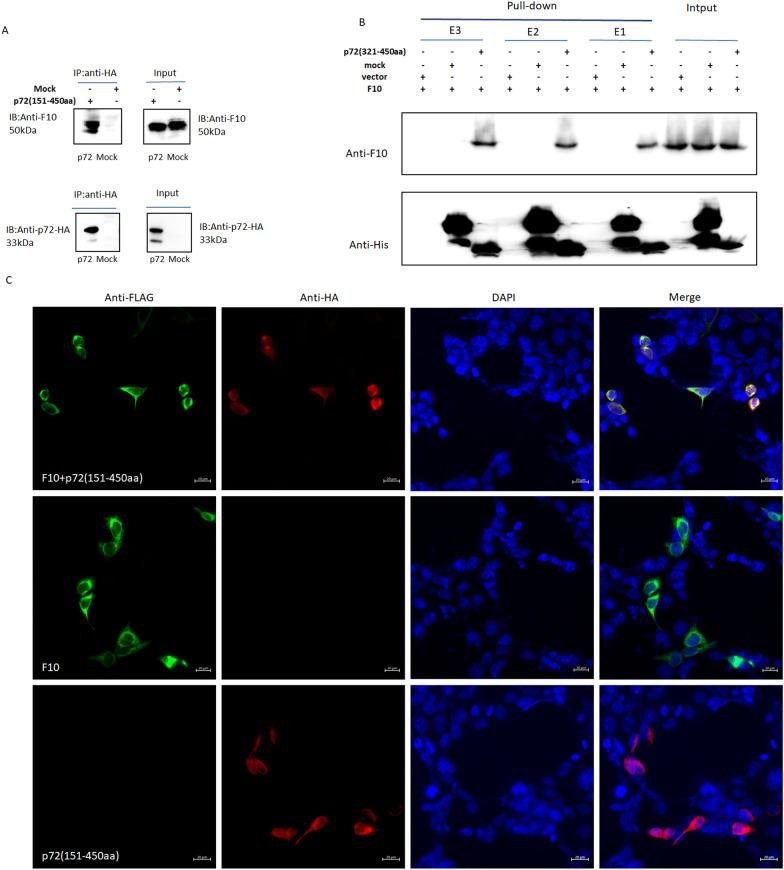 https://cdn.ncbi.nlm.nih.gov/pmc/blobs/26c6/11559047/89d5c7897a2b/13567_2024_1407_Fig5_HTML.jpg
