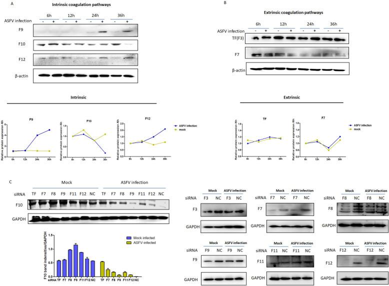 https://cdn.ncbi.nlm.nih.gov/pmc/blobs/26c6/11559047/cd7520c0c238/13567_2024_1407_Fig2_HTML.jpg