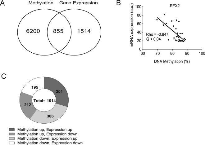 https://cdn.ncbi.nlm.nih.gov/pmc/blobs/26c6/5790004/eda2bbfd7744/41598_2017_17919_Fig8_HTML.jpg