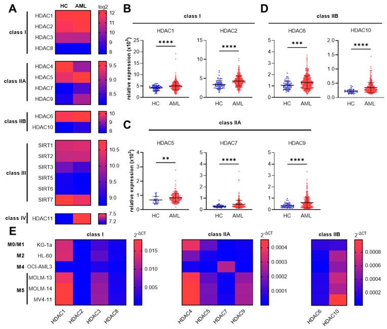 https://cdn.ncbi.nlm.nih.gov/pmc/blobs/26c8/9953883/2922d3df7175/cancers-15-01039-g001.jpg