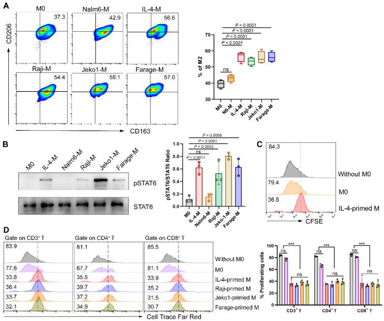 https://cdn.ncbi.nlm.nih.gov/pmc/blobs/26c9/10539696/30cb4bd89c1a/ijbsv19p4948g001.jpg