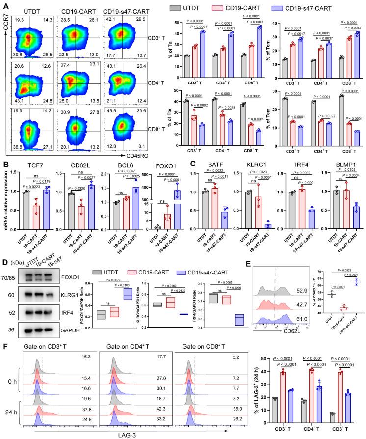 https://cdn.ncbi.nlm.nih.gov/pmc/blobs/26c9/10539696/638188122e07/ijbsv19p4948g005.jpg