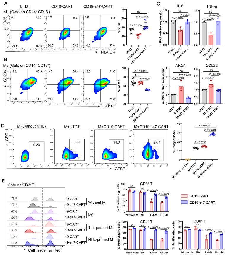 https://cdn.ncbi.nlm.nih.gov/pmc/blobs/26c9/10539696/981f241d677c/ijbsv19p4948g006.jpg