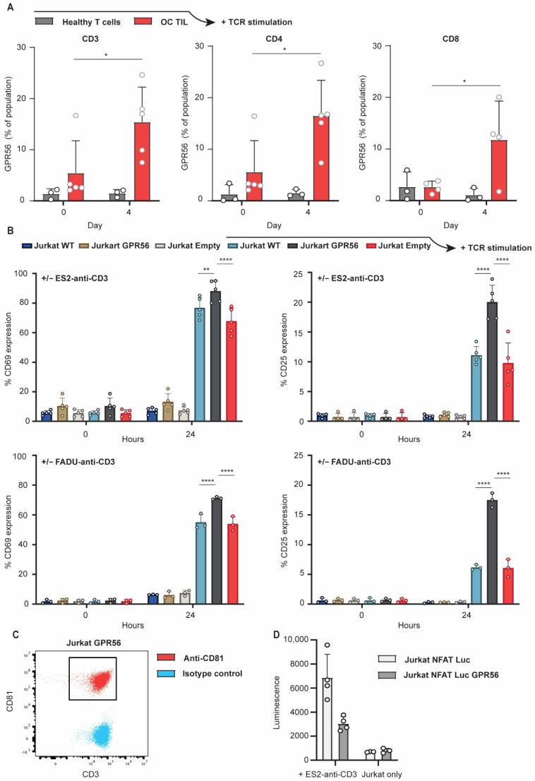 https://cdn.ncbi.nlm.nih.gov/pmc/blobs/26c9/9264967/0d094cc31893/cancers-14-03164-g004.jpg