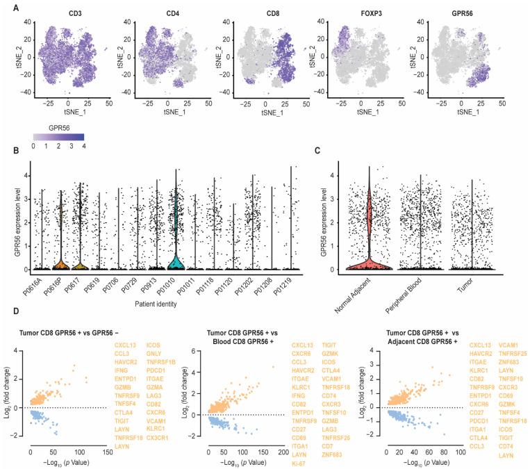 https://cdn.ncbi.nlm.nih.gov/pmc/blobs/26c9/9264967/30378958d1f7/cancers-14-03164-g002.jpg