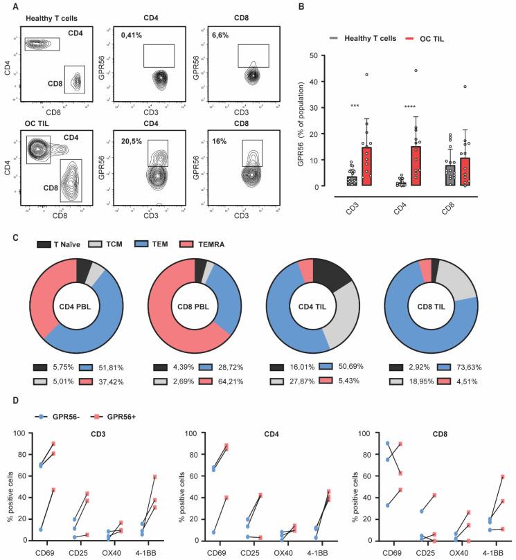 https://cdn.ncbi.nlm.nih.gov/pmc/blobs/26c9/9264967/496ba8c674ae/cancers-14-03164-g003.jpg