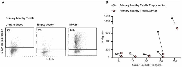 https://cdn.ncbi.nlm.nih.gov/pmc/blobs/26c9/9264967/b9a6594ef455/cancers-14-03164-g005.jpg